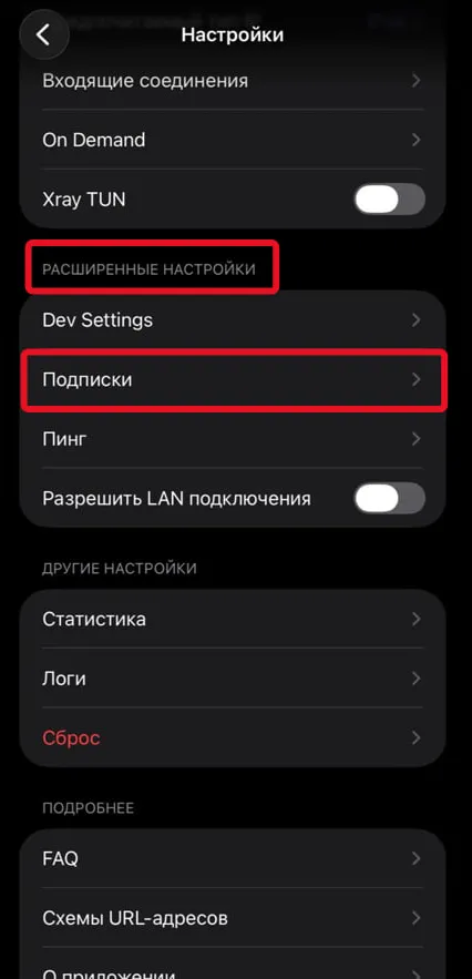 Раздел «Подписки» в расширенных настройках Happ