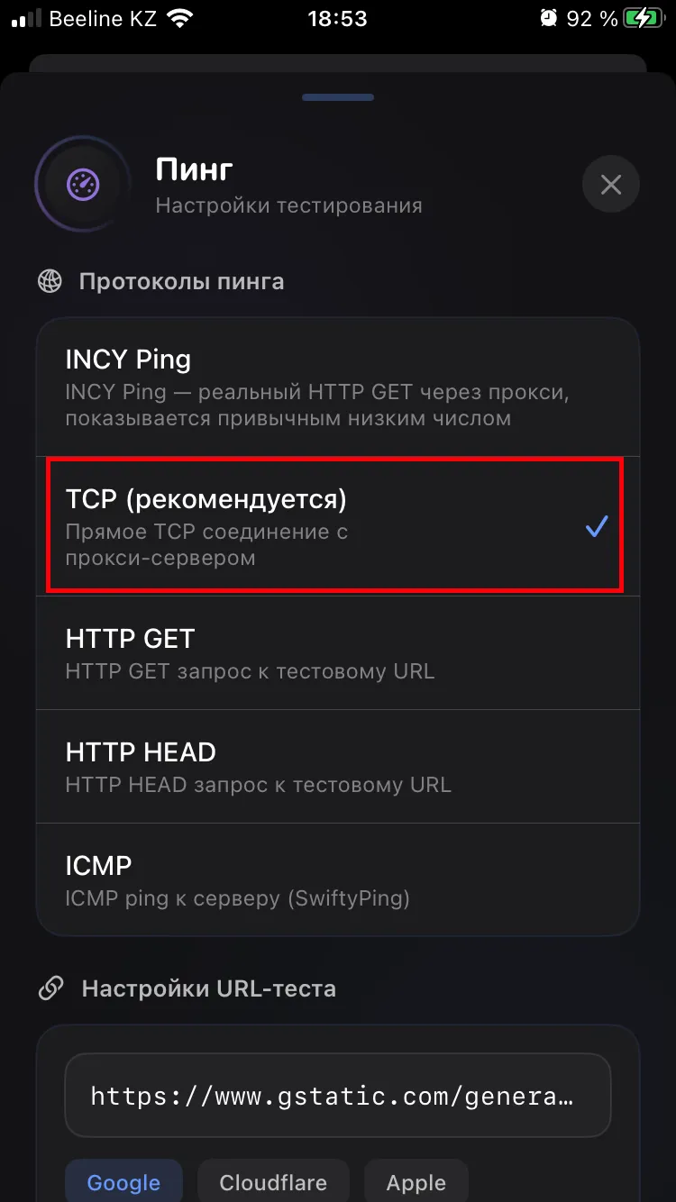 Выбранный протокол TCP в настройках пинга INCY