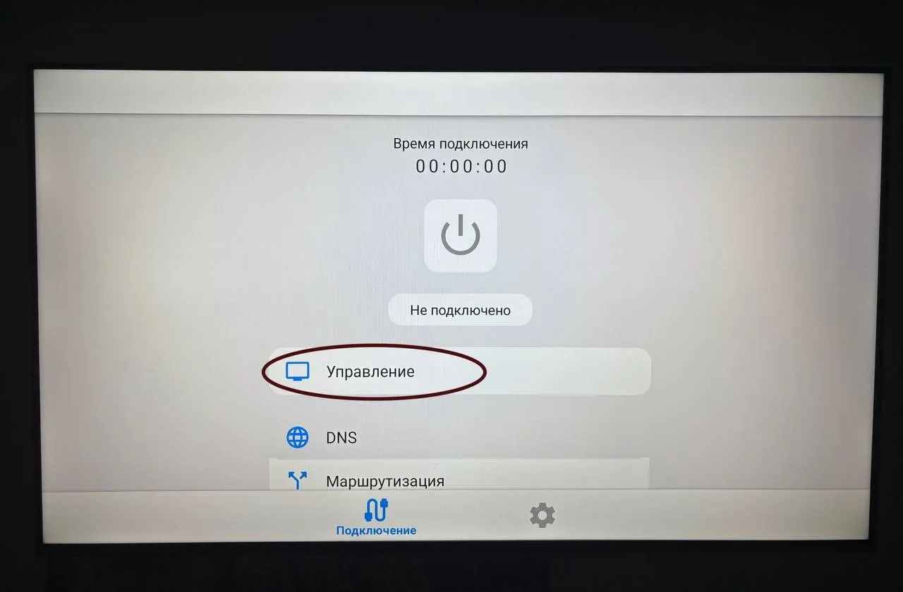 Раздел управления v2rayTun